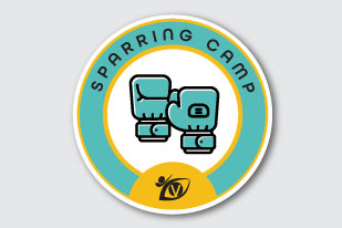 Sparring Camp Badge