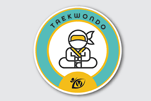 Traditional Taekwondo Camp Logo